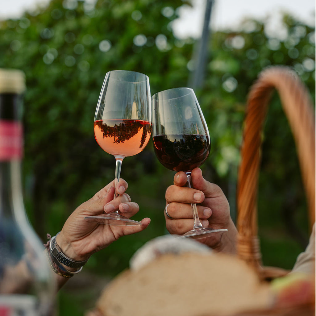 Zwei Personen stoßen im Grünen mit Rotwein aus der Edition Gourmet der WZG an.