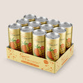 Mehrere Sprizz & Fruchtig Sparkling Ice Tea Dosen von WZG in einem 12er Tray.